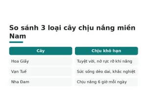 So sánh 3 loại cây chịu nắng miền Nam