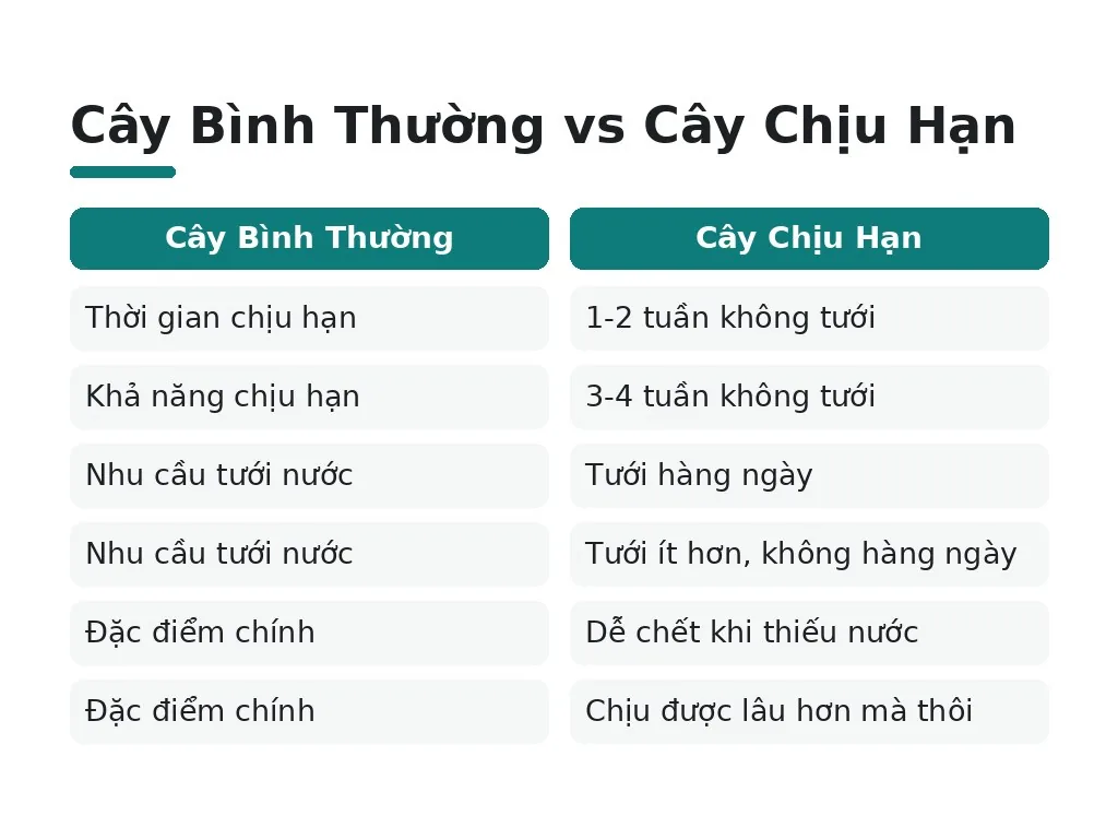 Hiểu Lầm Phổ Biến Về Cây Chịu Nắng