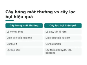 Cây bóng mát thường vs cây lọc bụi hiệu quả