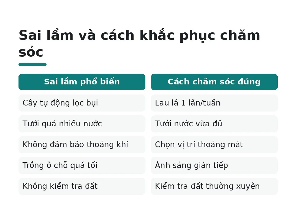 Hiểu lầm phổ biến và cách chăm sóc đúng