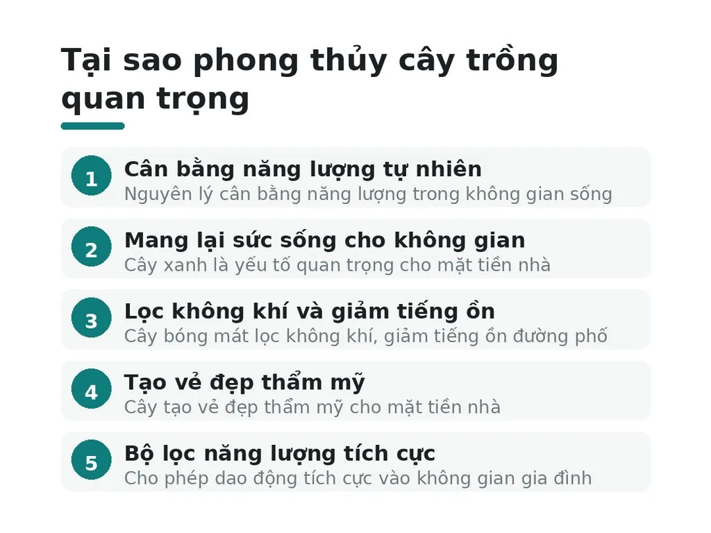 Tại sao phong thủy cây trồng quan trọng