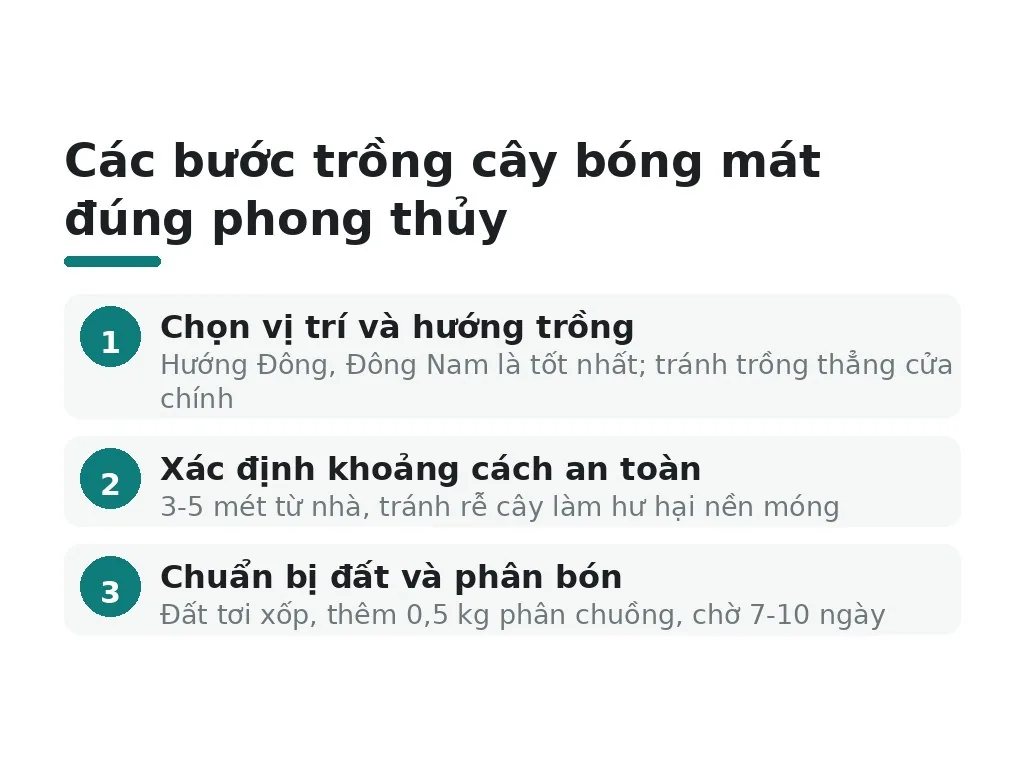 Hướng dẫn trồng cây bóng mát đúng phong thủy