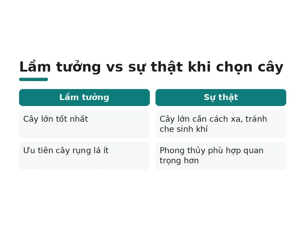Những lầm tưởng phổ biến khi chọn cây trước nhà