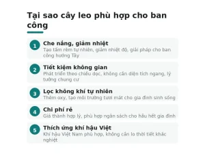 Tại sao cây leo phù hợp cho ban công
