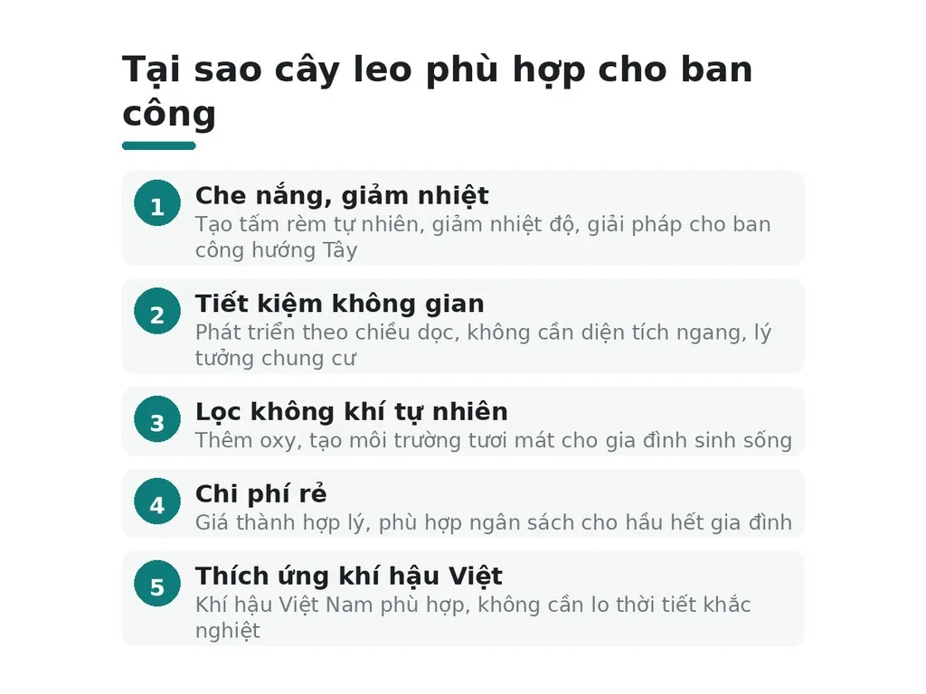 Tại sao cây leo phù hợp cho ban công