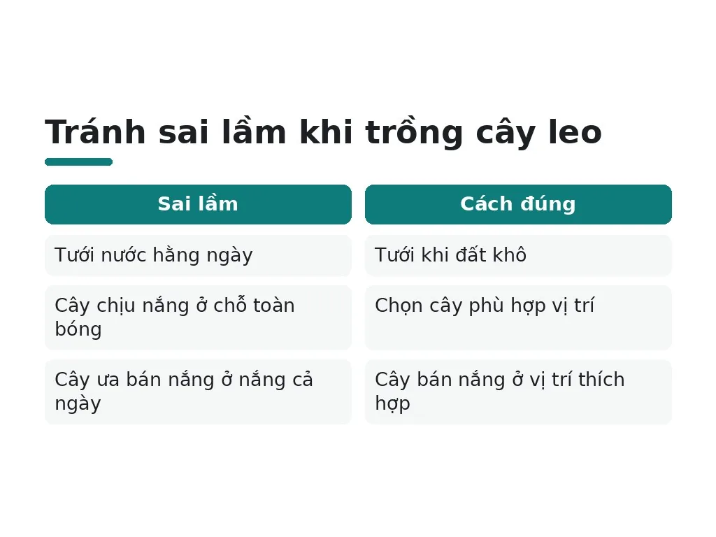 Sai lầm phổ biến khi trồng cây leo ban công
