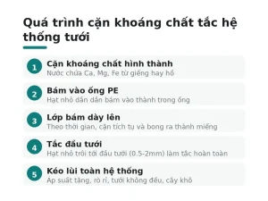 Quá trình cặn khoáng chất tắc hệ thống tưới