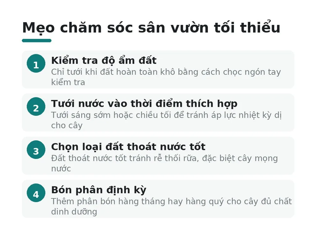 Mẹo chăm sóc tối thiểu để sân vườn luôn đẹp