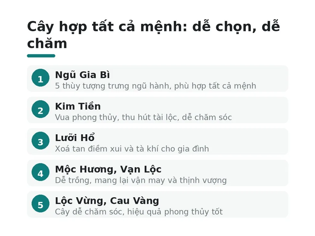 Cây hợp tất cả mệnh: dễ chọn, dễ chăm