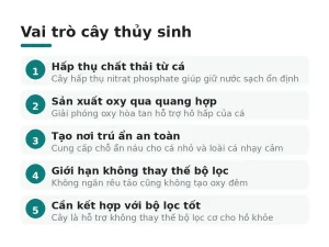 Vai trò cây thủy sinh