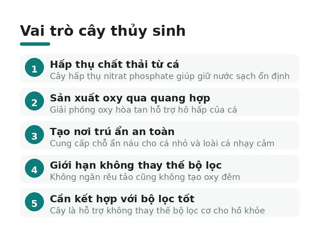 Cây thủy sinh đóng vai trò gì cho hồ cá sân vườn