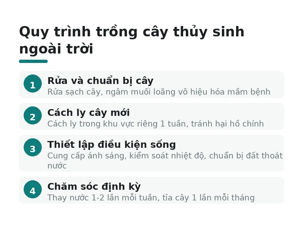 Cách trồng và chăm sóc cây thủy sinh ngoài trời
