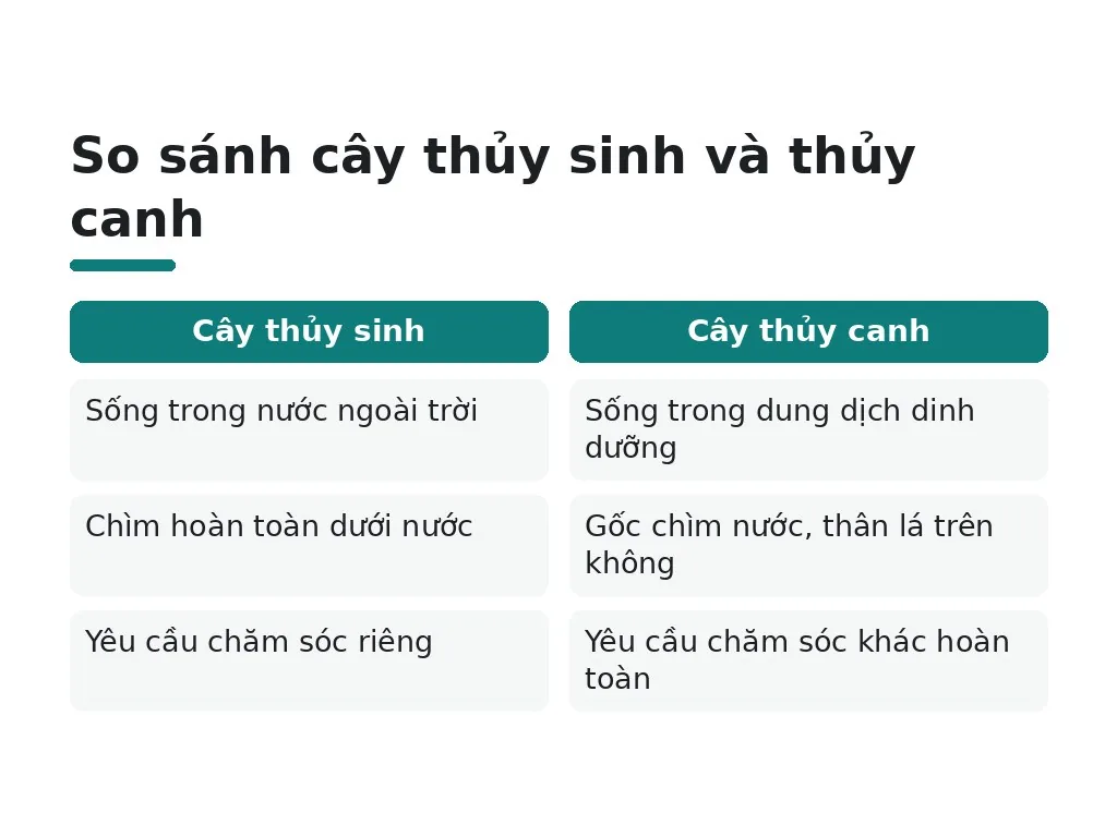 Hiểu lầm phổ biến về cây thủy sinh
