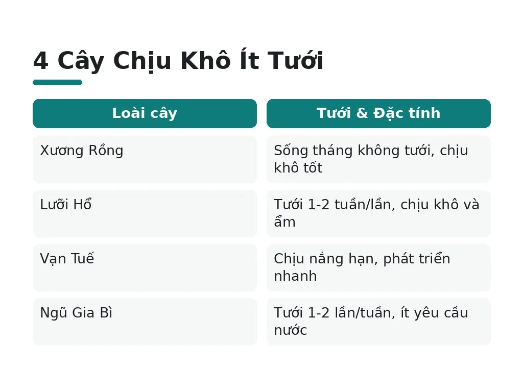 5 cây chịu hanh khô không cần tưới thường xuyên