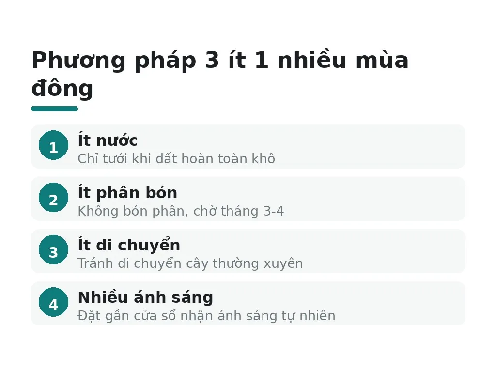 Cách chăm sóc cây chịu lạnh vào mùa đông