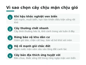 Vì sao chọn cây chịu mặn chịu gió