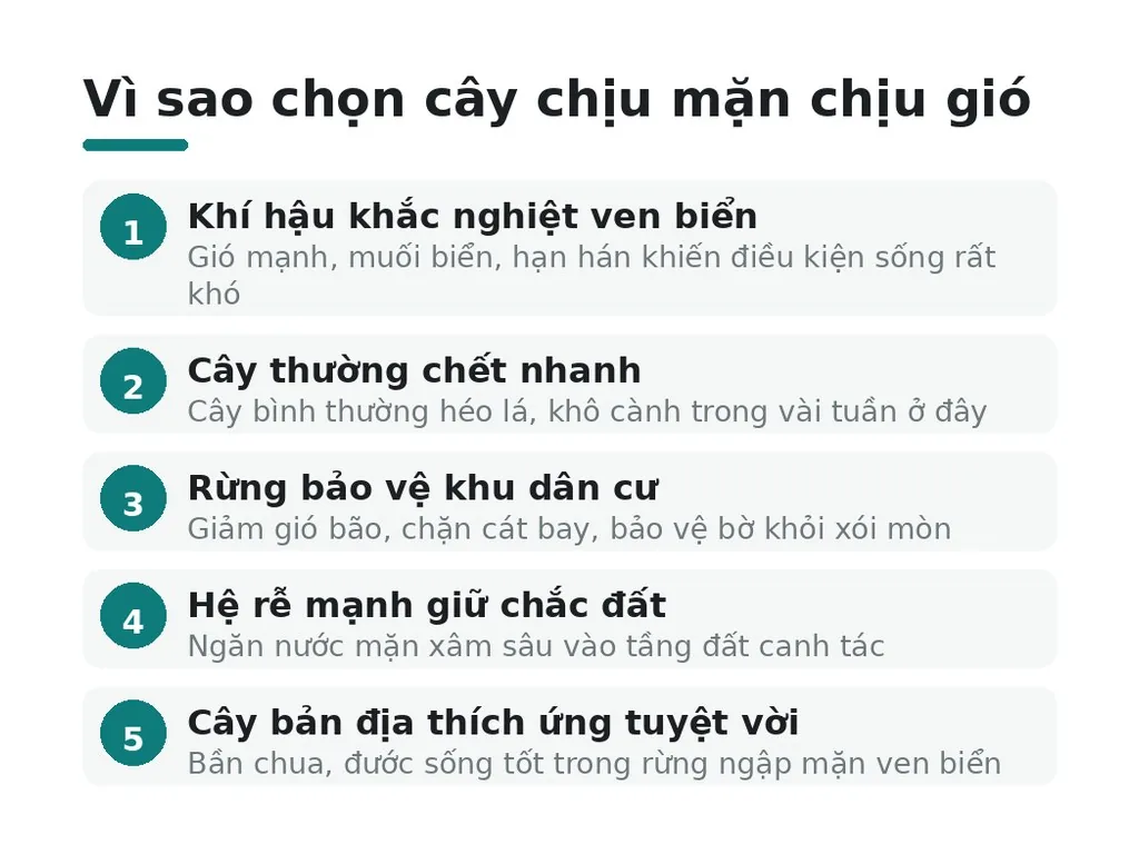 Vì sao chọn cây chịu mặn chịu gió cho khu vực ven biển?