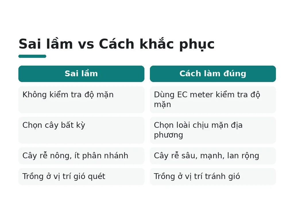 Sai lầm phổ biến khi trồng cây ven biển