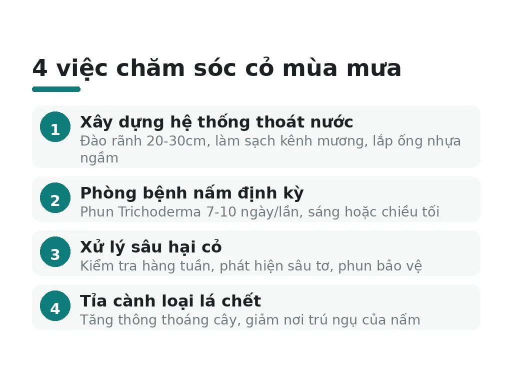 Chăm sóc thảm cỏ mùa mưa cần ưu tiên 4 việc gì?