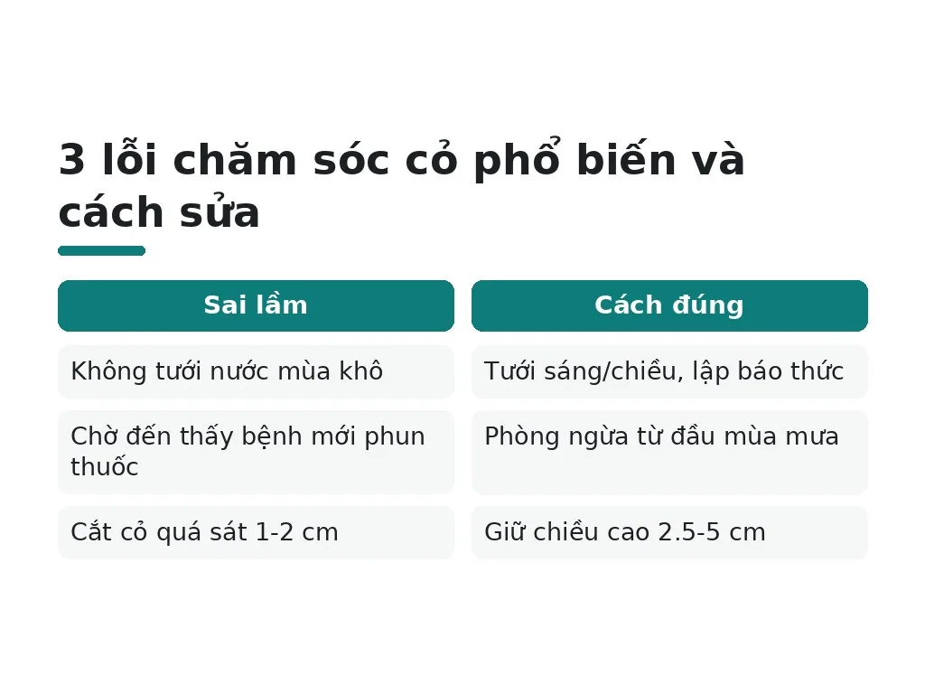 Lỗi chăm sóc phổ biến và mẹo khắc phục