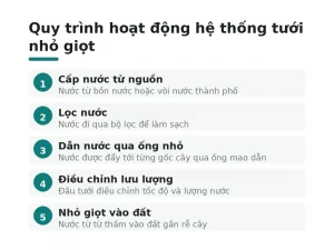 Quy trình hoạt động hệ thống tưới nhỏ giọt