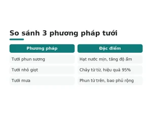 So sánh 3 phương pháp tưới