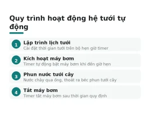 Quy trình hoạt động hệ tưới tự động
