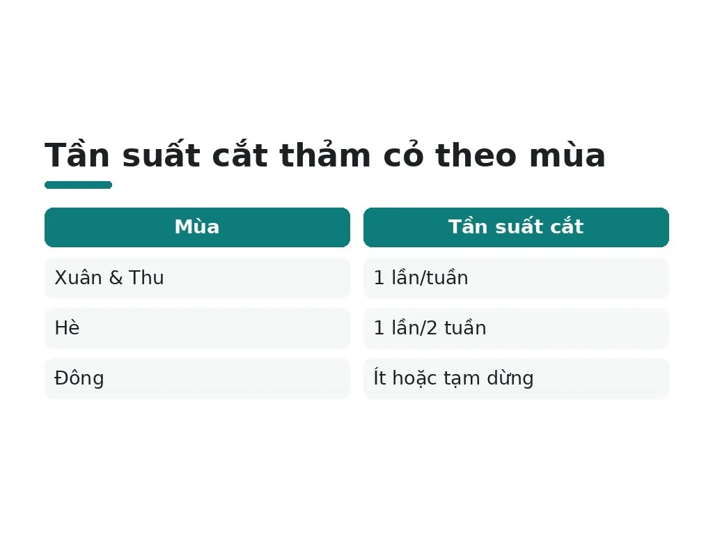Vì sao mùa mưa là thời điểm vàng để cắt tỉa thảm cỏ?