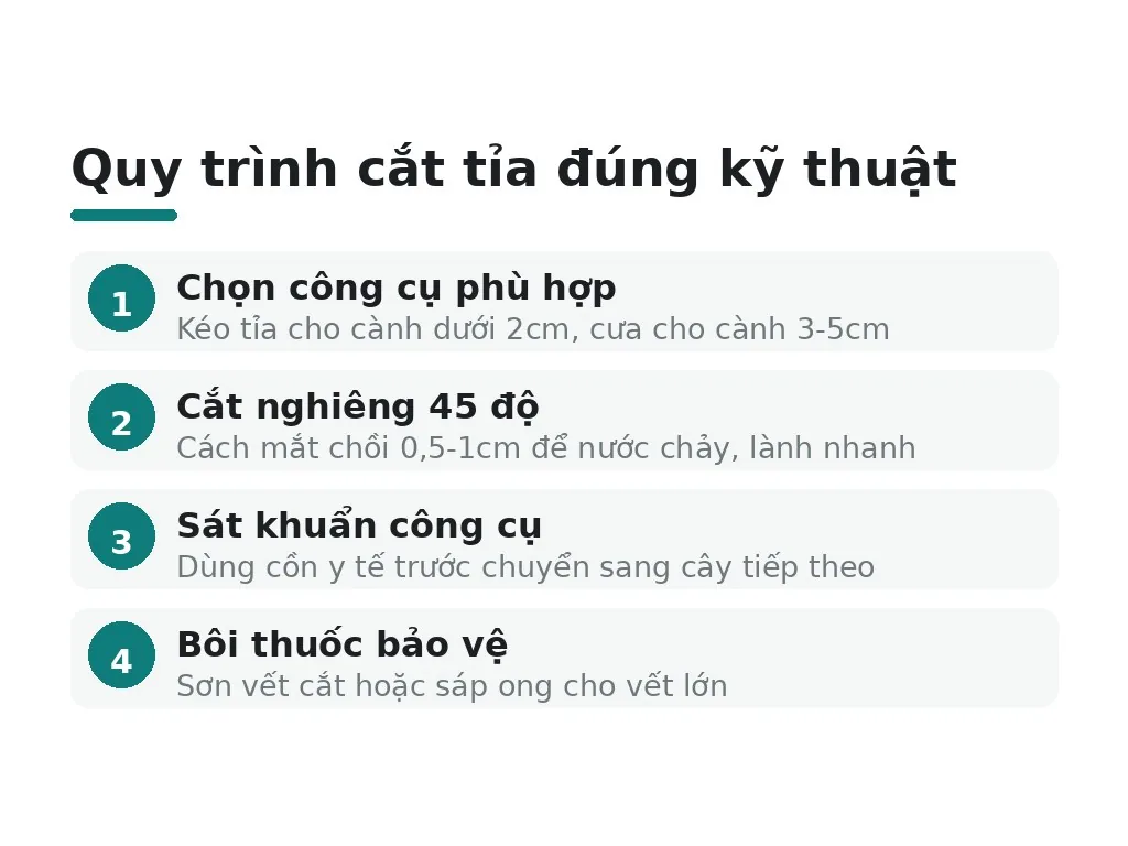 Quy trình cắt tỉa đúng kỹ thuật cần công cụ gì?