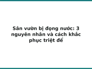Sân vườn bị đọng nước: 3 nguyên nhân và cách khắc phục triệt để