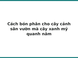 Cách bón phân cho cây cảnh sân vườn mà cây xanh mỹ quanh năm