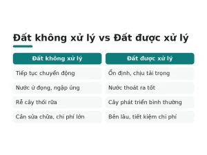 Đất không xử lý vs Đất được xử lý